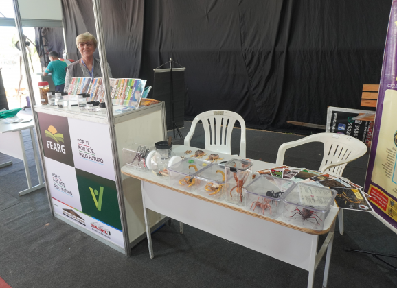 Secretarias municipais apresentam projetos e ações educativas na 11ª Fearg em Gravataí