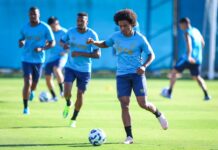 Grêmio se despede da Arena em duelo decisivo contra o Fluminense mirando vaga continental