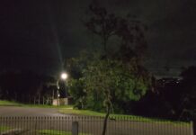 Temporal expõe fragilidade da rede elétrica e coloca vidas em risco em Porto Alegre