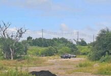 Buscas com cães farejadores intensificam investigação sobre desaparecimento de três familiares na região metropolitana