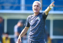 Grêmio busca primeira vitória fora de casa contra o Palmeiras após pausa da Data Fifa; confira a provável escalação