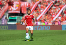 Como Barcellos Superou a Mediocridade de Piffero