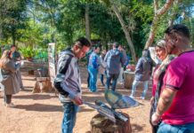 Concurso de Arte Sustentável premia cooperativas de Canoas por esculturas feitas com materiais recicláveis