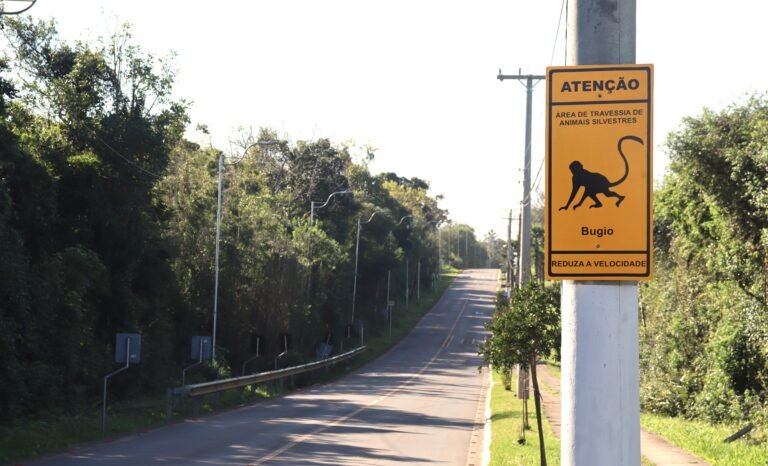 Gravataí instala placas para orientar motoristas sobre travessia de animais silvestres