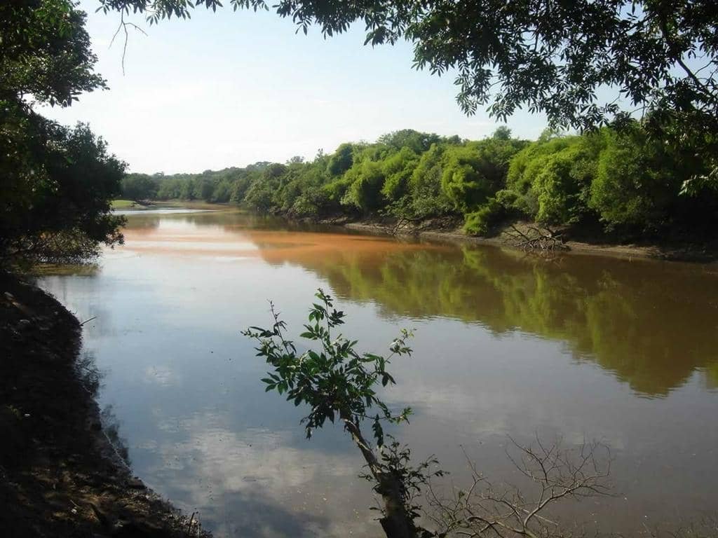 Rio Gravataí segue acima da cota de inundação